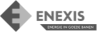 Enexis Logo